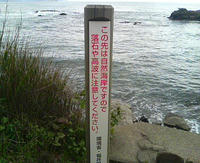 20090423142601.jpg