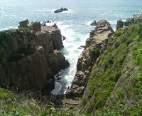 20090423145222.jpg