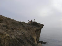 RR0012225.jpg