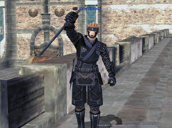 ninja2