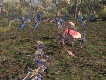drg12.jpg