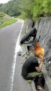 ここに来てネット見まくるサー