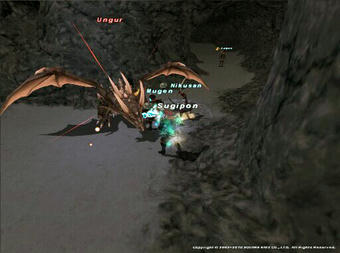 Ungur_01.jpg