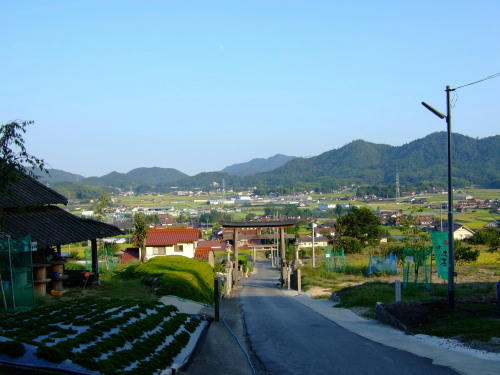 20100919_kusu2.jpg