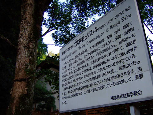 20100919_kusu1.jpg