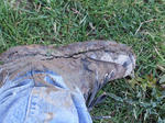 DSCF0068.JPG
