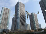 DSCF0768.JPG
