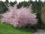 DSCF0247.JPG