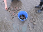 DSCF0421.JPG
