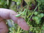 DSCF0926.JPG