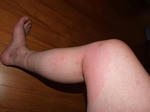 DSCF0933.JPG