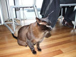 DSCF1524.JPG