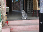 DSCF1545.JPG