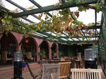 DSCF1543.JPG