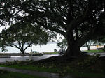 IMG_3275.JPG