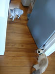 DSC00240.JPG
