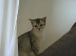 DSC00242.JPG
