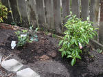 DSC01593.JPG