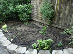 DSC01594.JPG