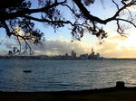 DSC01794.JPG
