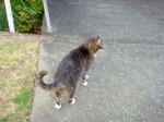 DSC01796.JPG