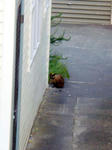 DSC01797.JPG