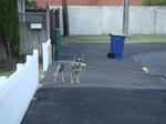 DSC01807.JPG