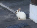 DSC01811.JPG