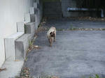 DSC01812.JPG