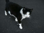 DSC01822.JPG