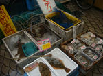 DSC01933.jpg
