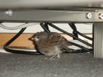 DSC01889.jpg