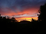 DSC02032.jpg