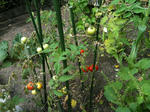 IMG_0036.JPG