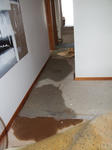 DSCF2654.JPG