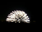 7e5448ff.JPG