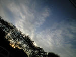 c8ab7c82.JPG