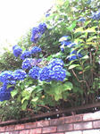 20070618163937.jpg