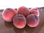 20070724174103.jpg