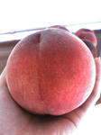 20070724174205.jpg