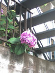 20070619172327.jpg