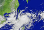 bear_typhoon.jpg