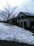 20080123163452.jpg