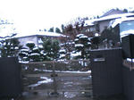 20080123163611.jpg