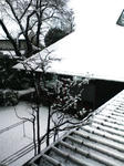 20080203110717.jpg