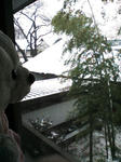 20080203135524.jpg