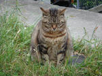 DSC00893-.jpg