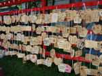 DSC01178.jpg