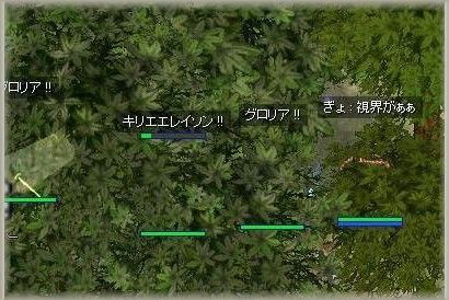 視界がぁぁぁぁ