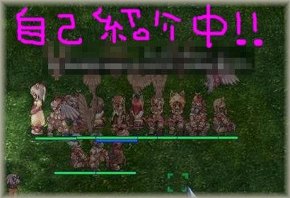 自己紹介